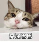 DƬ
